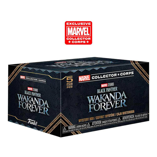 Funko Box! Marvel: Black Panter: Wakanda Forever